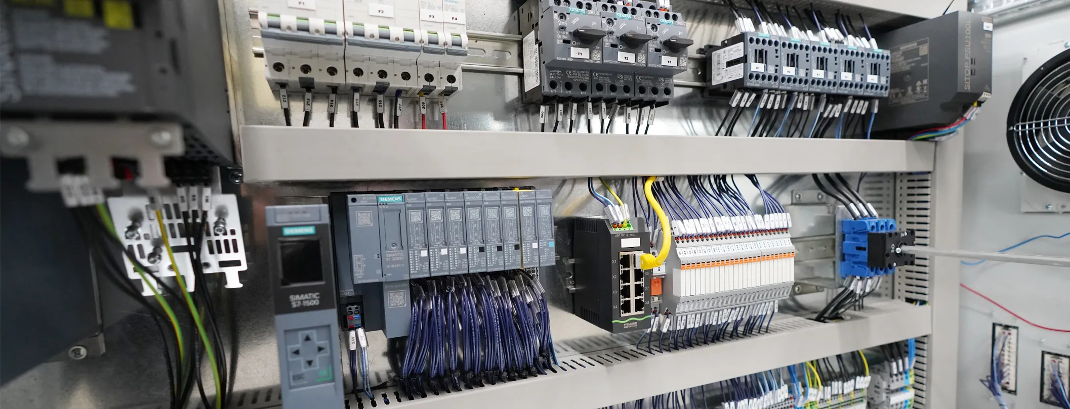 Yerinde Tespit ve Lisanslama